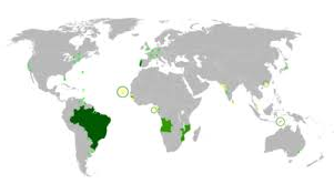 Visões sobre a língua portuguesa