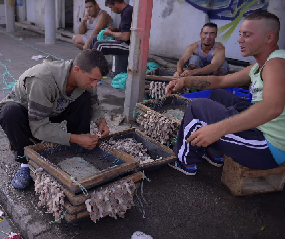 Breve dicionário dos falares açorianos