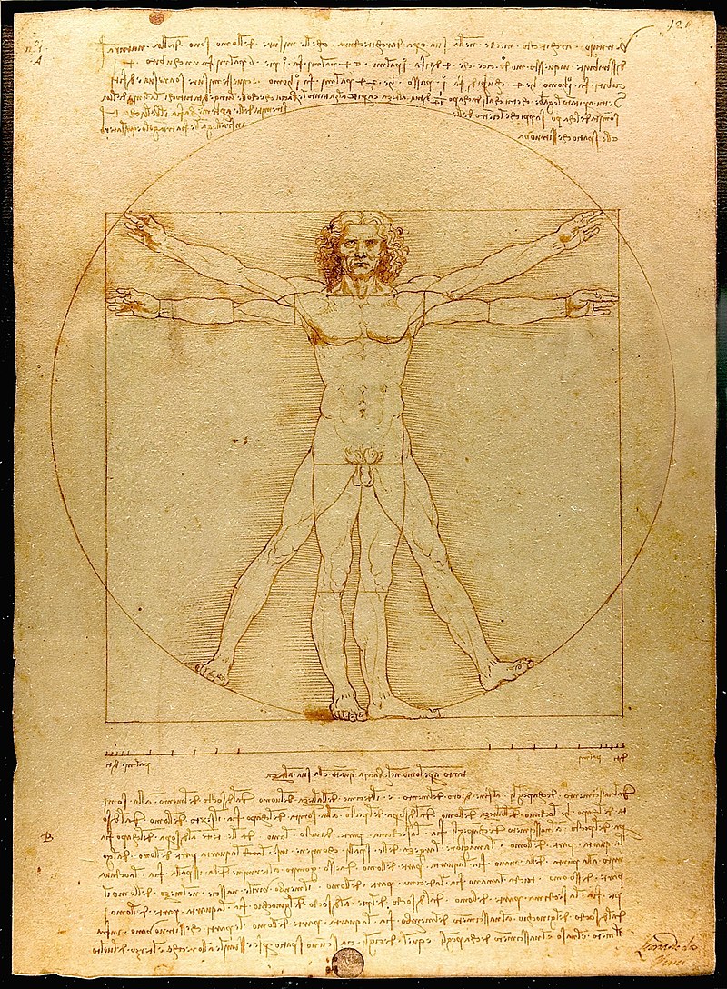 À volta do plural (ou não) do latinismo Homo sapiens