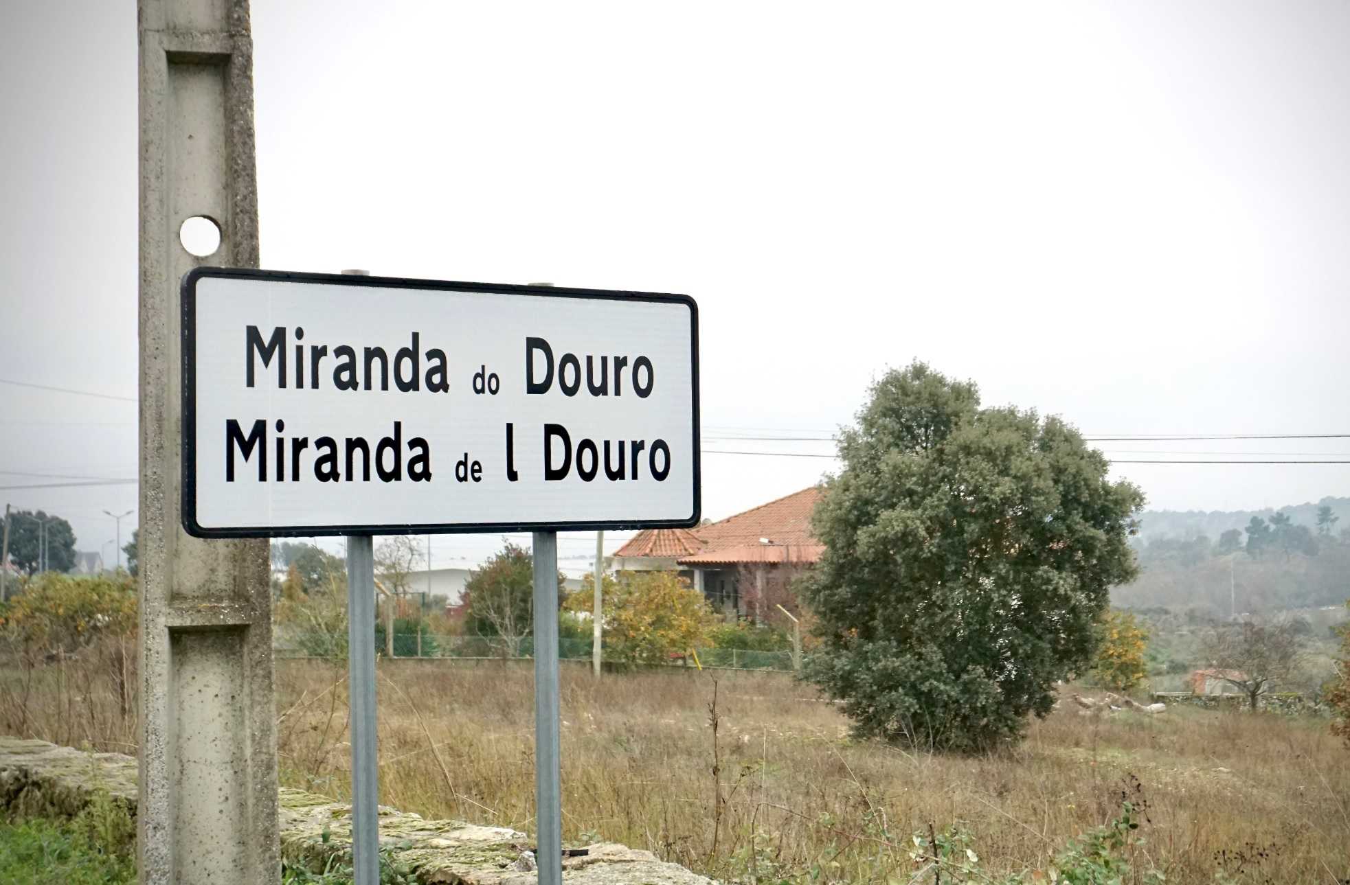 «É necessário um organismo para salvaguardar <br> a língua mirandesa»
